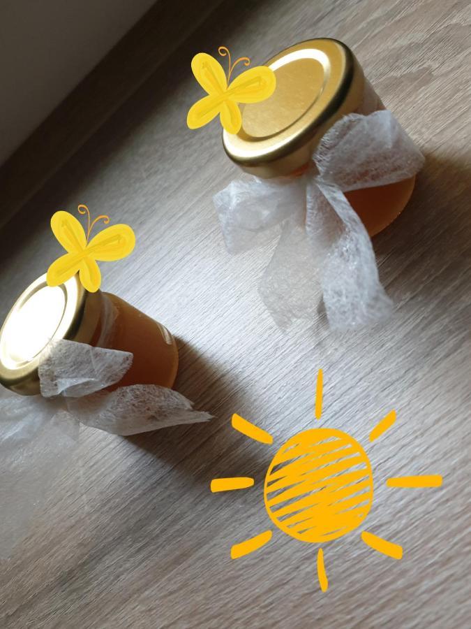 Апартаменты Sweet Honey Mieszkanie W Plocku Экстерьер фото